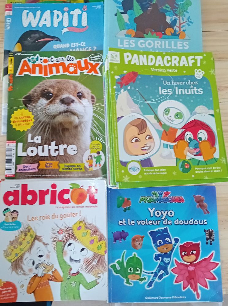 Lot de 60 Divers Magazines de 3 � 7 ans 15 Saint-Dizier (52)