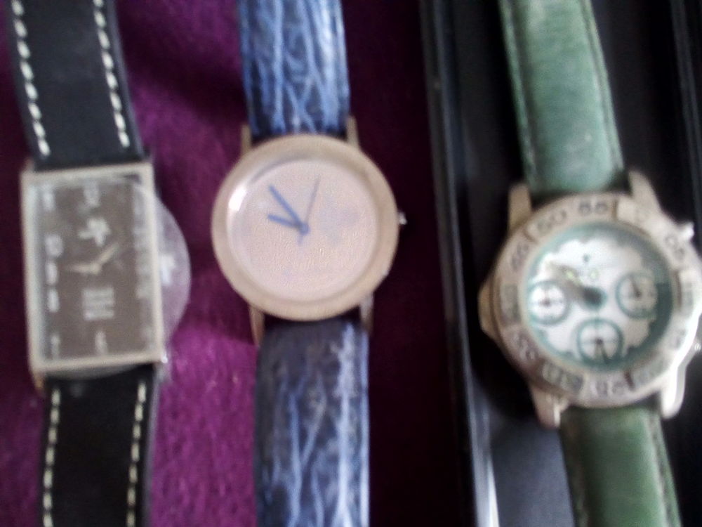 Divers montres 0 Sainte-Verge (79)