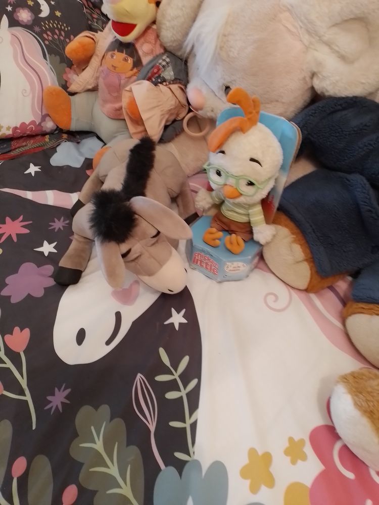 Les dodos des bonheurs 70 Toulouse (31)