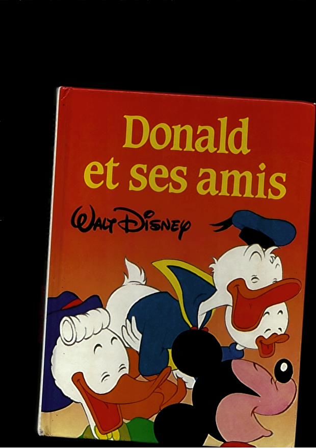 Donald et ses amis 3 Saint-Jean-d'Angély (17)
