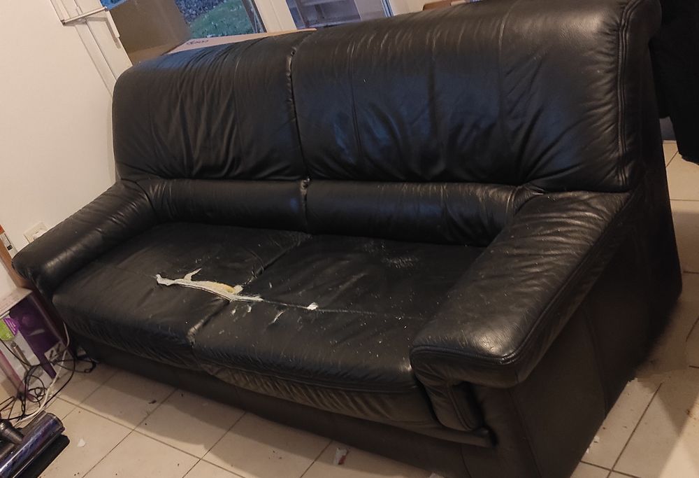 Donne canap� en cuir 0 Bourges (18)