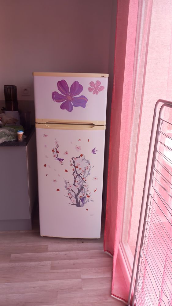 Donne r�frig�rateur. 0 Bouxi�res-aux-Ch�nes (54)