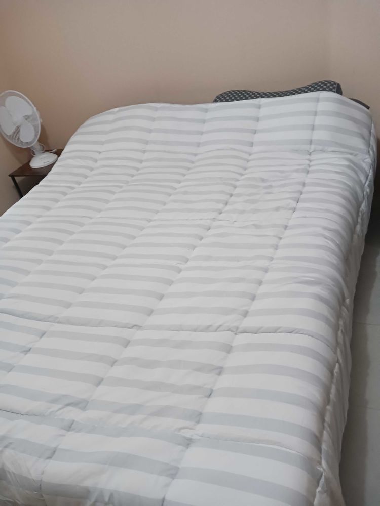 donne sommier et matelas 220cm �-240cm 0 Bourbon-Lancy (71)