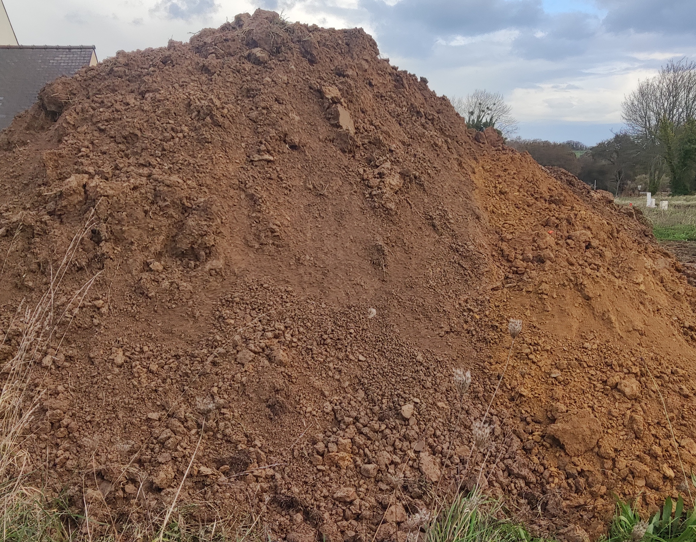 Donne terre agricole 0 Cancale (35)