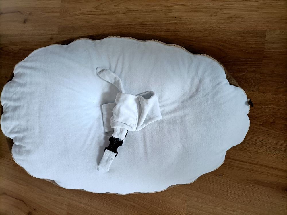 doomoo 45 Le Bouscat (33)