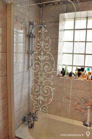 PAR-DOUCHE SERIGRAPHIE TRANSPARENT 40 Sainte-Genevi�ve-des-Bois (91)