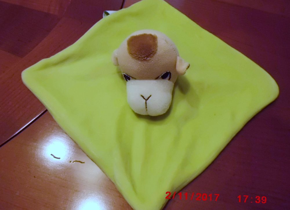 doudou chameau