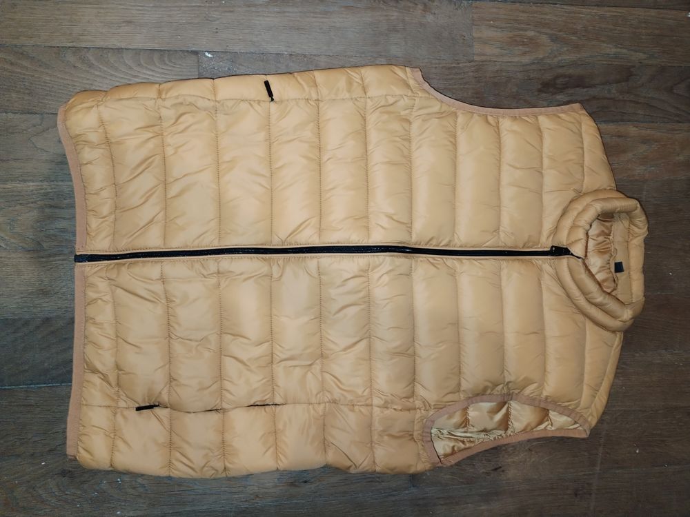 Doudoune sans manches (taille M) couleur moutarde
7 Brillon-en-Barrois (55)