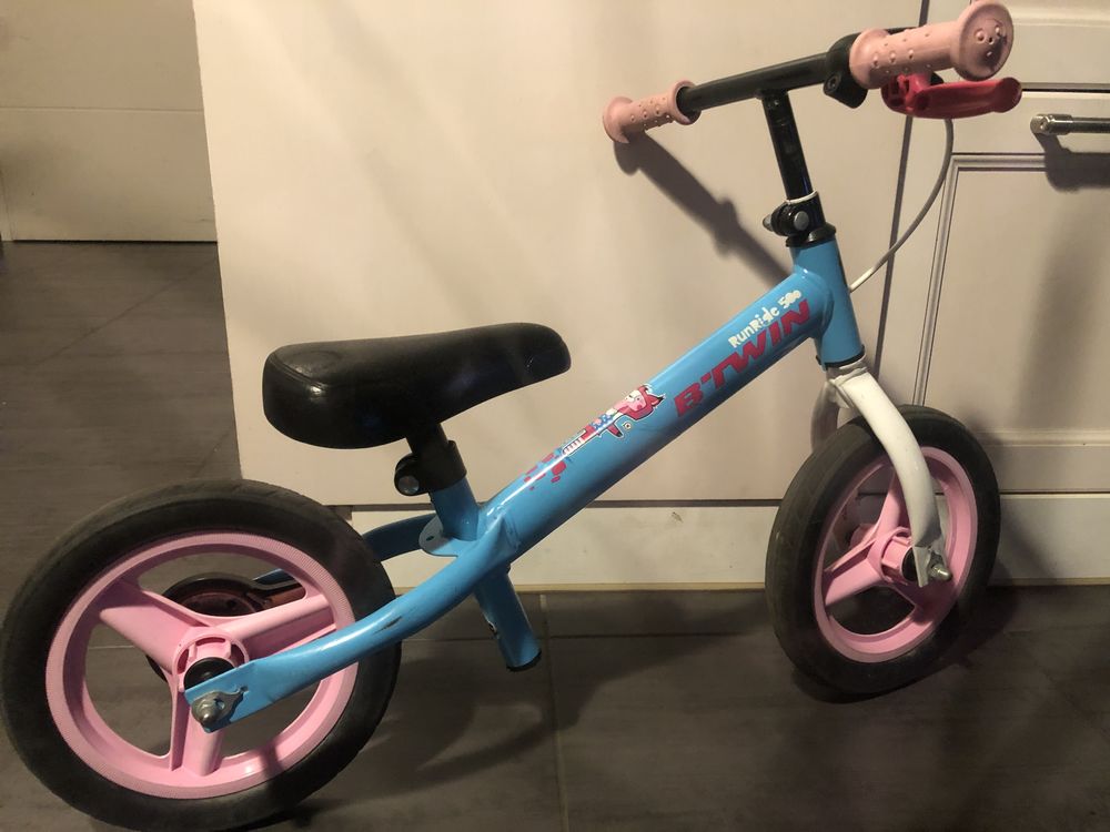 Draienne en parfait �tar 30 Clisson (44)