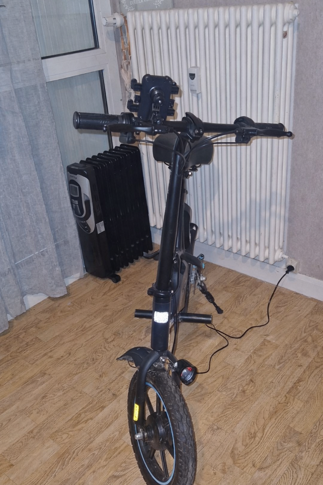 Draisienne �lectrique 
200 Dijon (21)