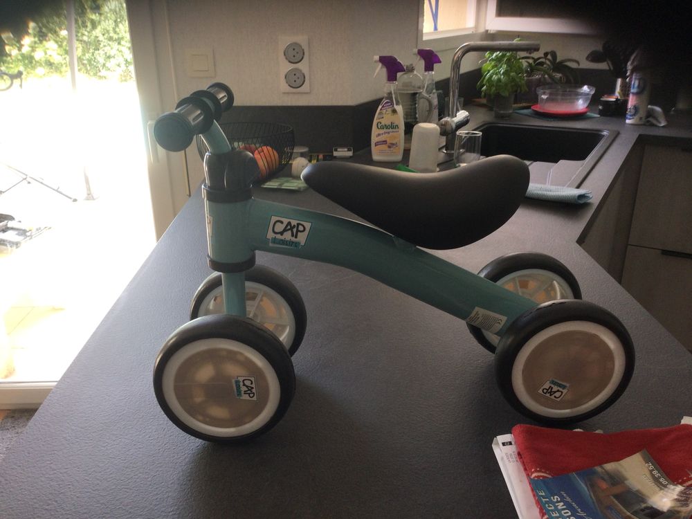 Draisienne 20 Gujan-Mestras (33)