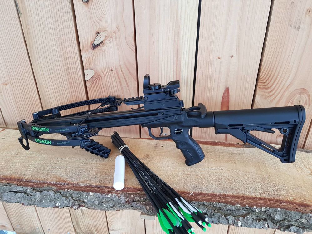 Arc drakon 150 Saintes (17)