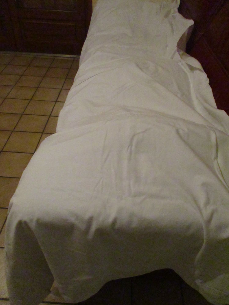 Drap fin coton blanc 2 m 70 x 2 m 20  avec bourdon sur haut 10 M�rignies (59)