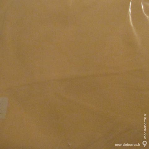 DRAP PLAT + DRP HOUSSE  CHAMPAGNE  1 PERSONNE 17 Saint-Genis-Laval (69)