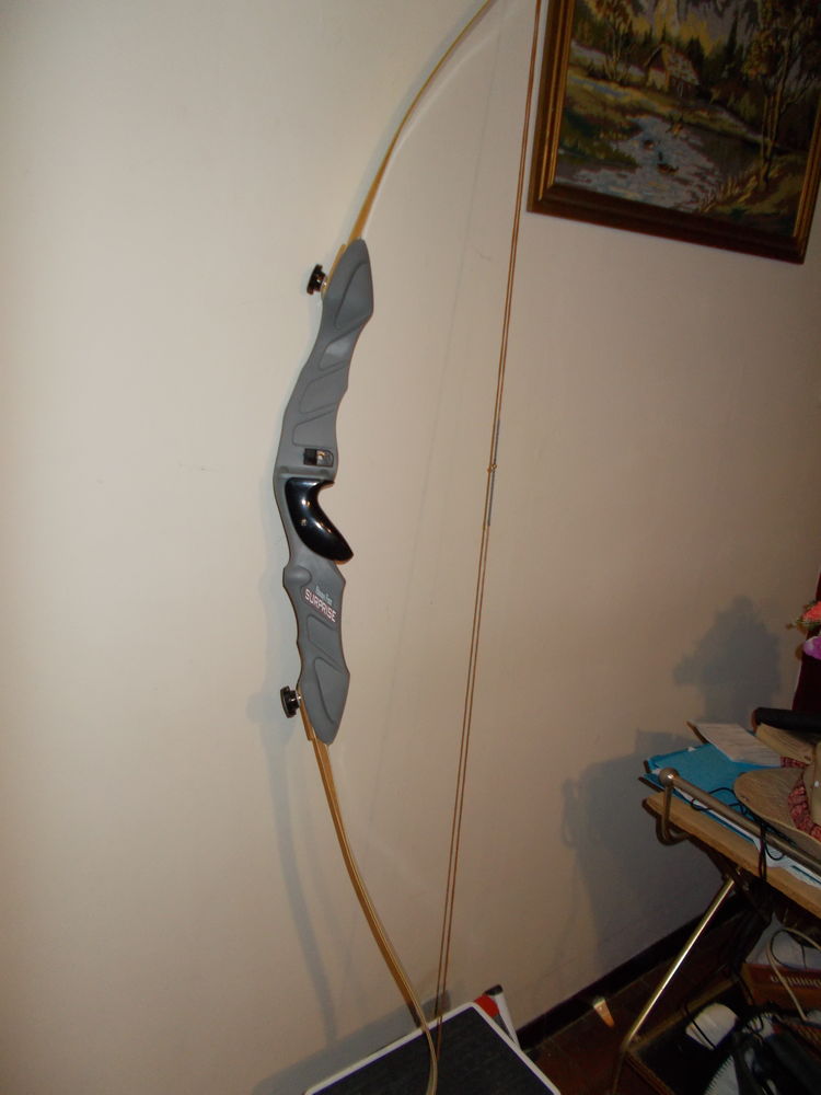 arc droitier neuf 66/24 livres 60 Bellegarde (30)