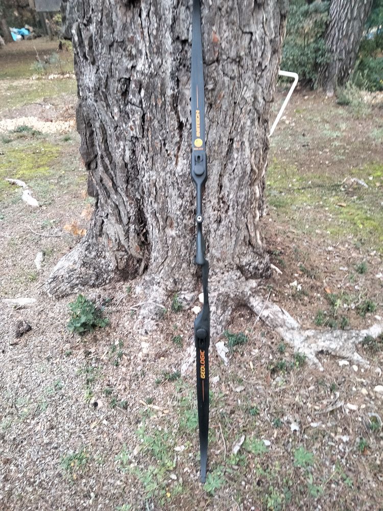 ARC DROITIER POUR ADULTE 30 Saint-Cannat (13)