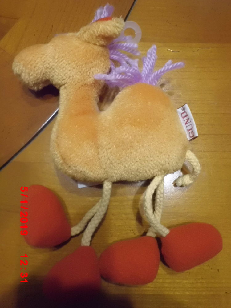 DROMADAIRE GUND 15 Oignies (62)