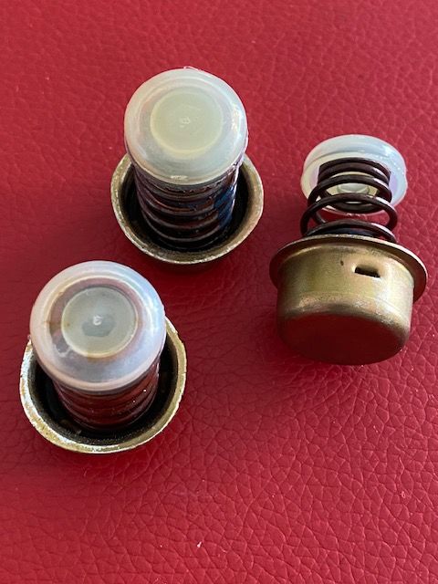 Dual Amortisseur Suspension 17 Nice (06)