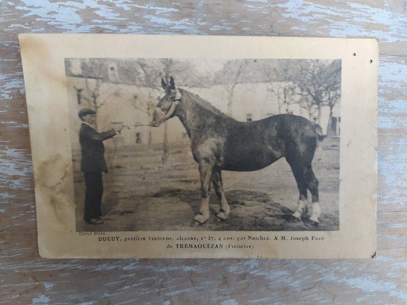 CPA Duguy Posti�re Bretonne Alezane � Tr�maou�zan Bretagne 0 Loches (37)