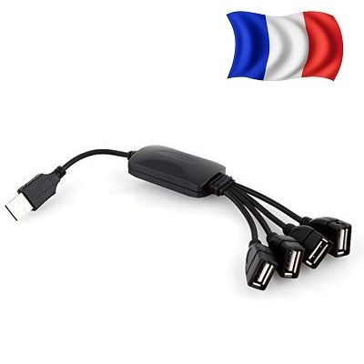 Duplicateur Multiplicateur Prolongateur USB 4 sorties 3 Vouneuil-sur-Vienne (86)
