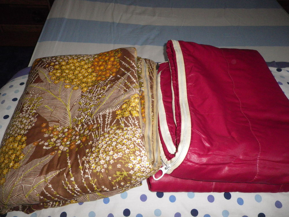 2 duvets 8 Dijon (21)