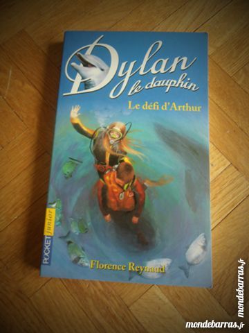 Dylan le dauphin (3) 3 Tours (37)