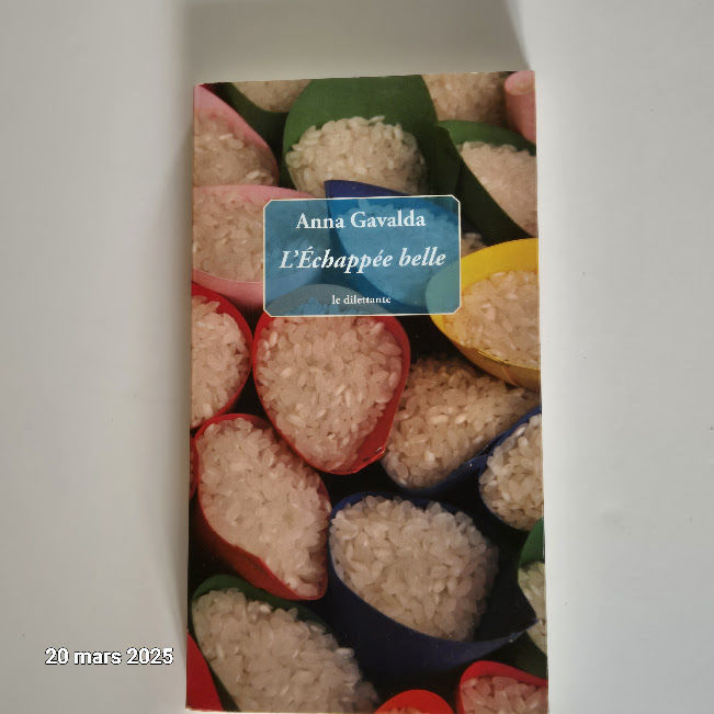 L'�chapp�e belle, d' Anna Gavalda, le dilettante, comme neuf 2 Saumur (49)