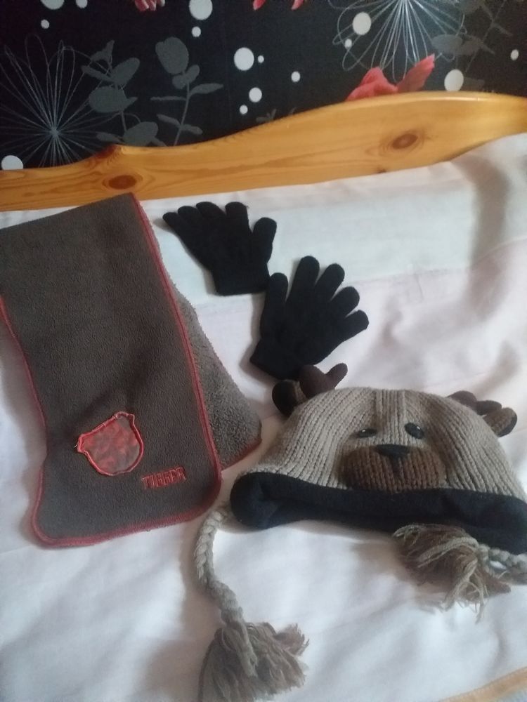 Lot �charpe - gants - bonnet 1 Belleville (69)