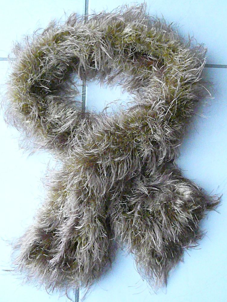 Echarpe mordor�e 4 Franqueville-Saint-Pierre (76)