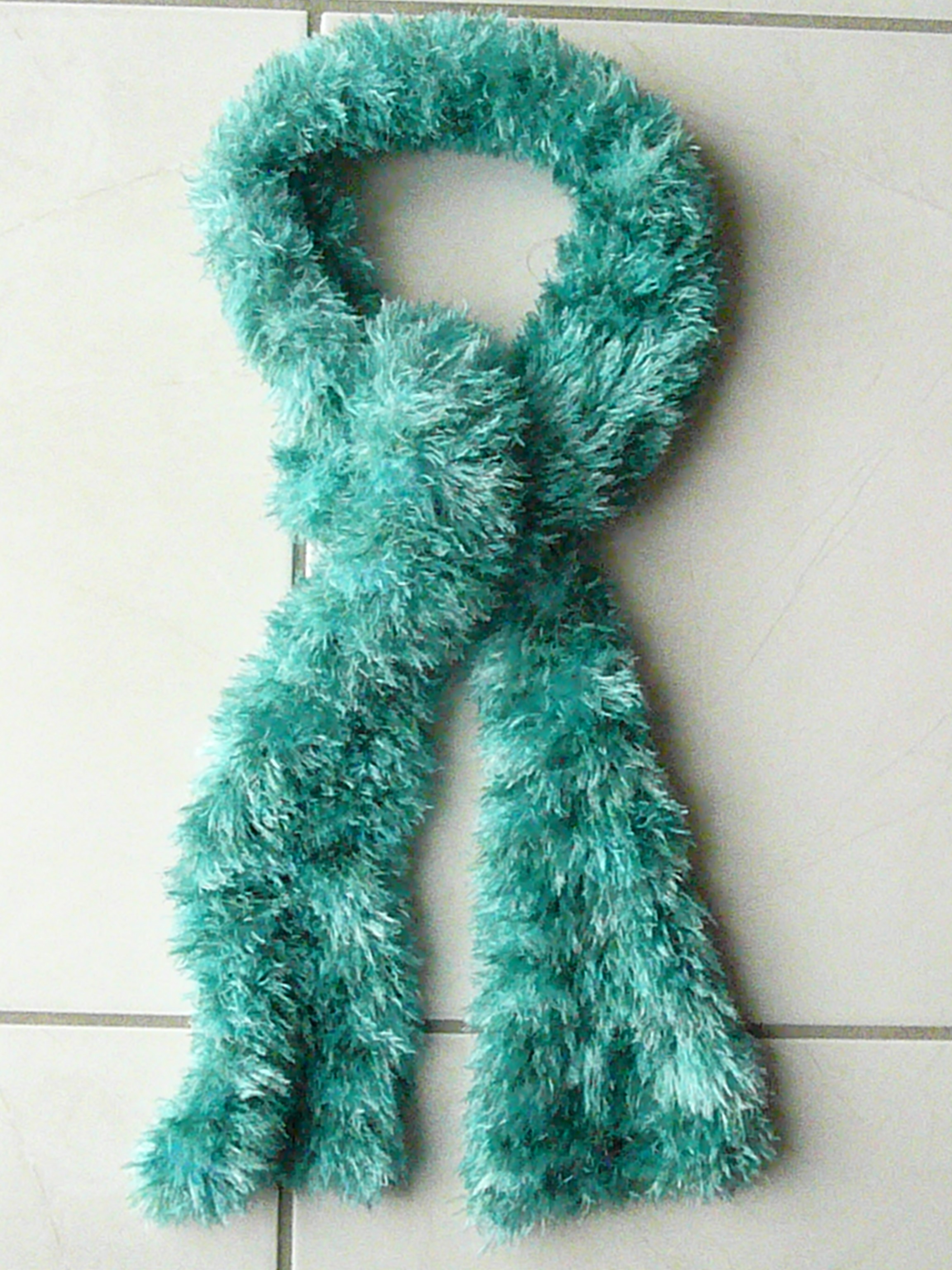 Echarpe verte 4 Franqueville-Saint-Pierre (76)