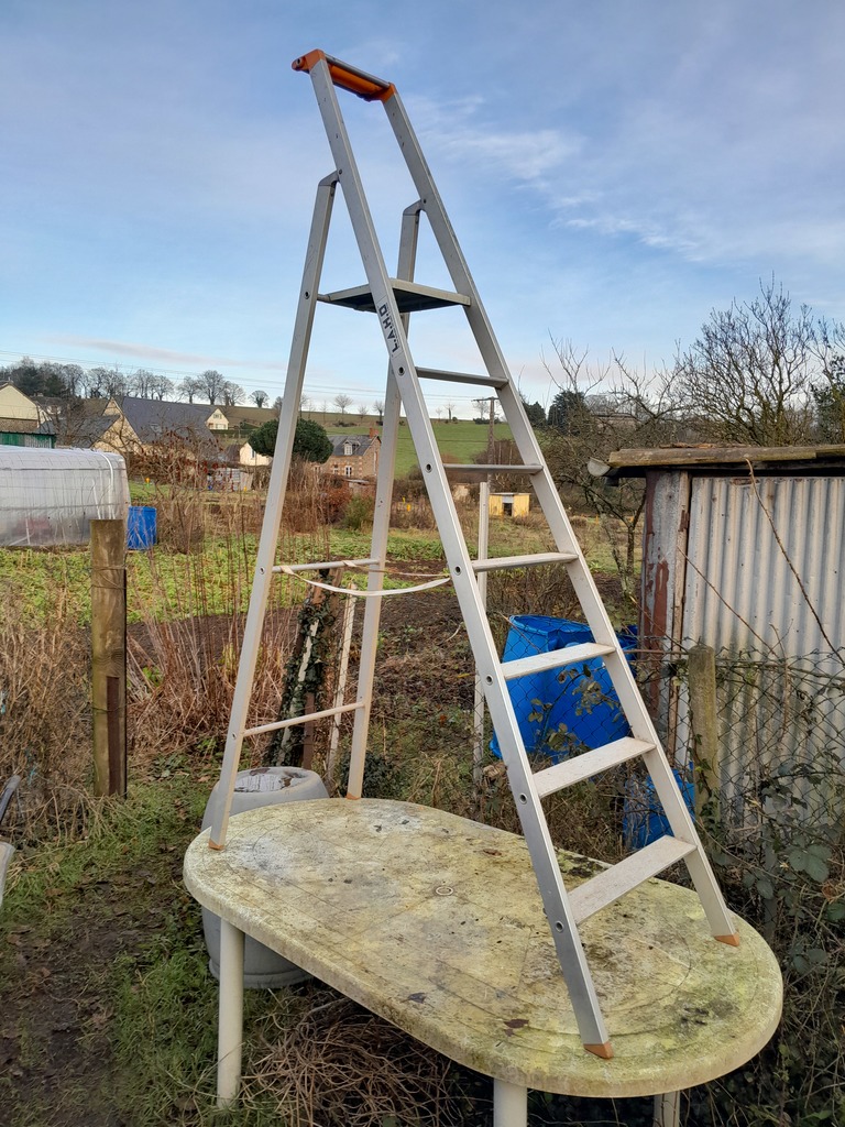 �chelle en Aluminium � Trois Marches avec Portillon 0 Flers (61)