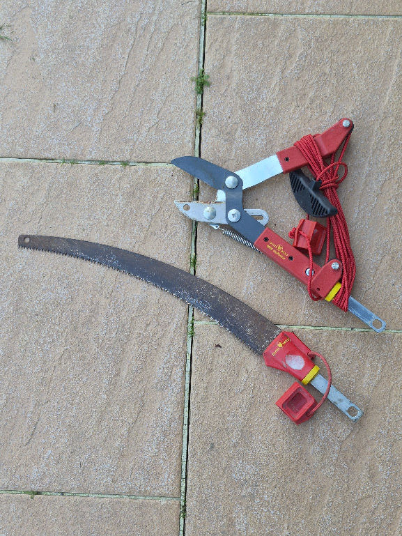 ECHENILLOIR WOLF 80 Saint-Dolay (56)