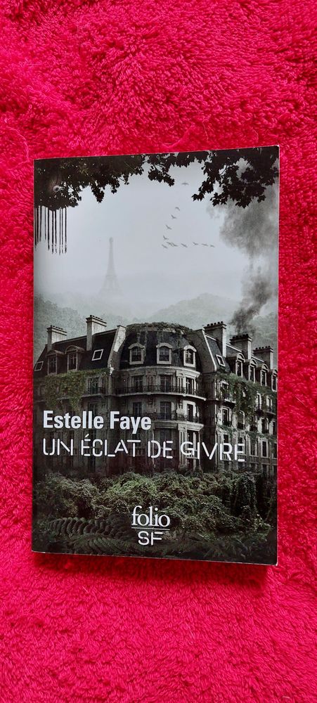 Un �clat de givre d'Estelle Faye 3 Paris 12 (75)