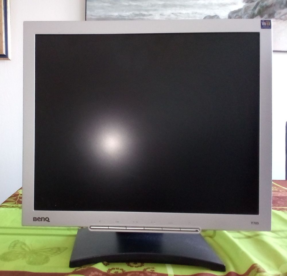 Ecran BENQ 0 Larmor-Plage (56)