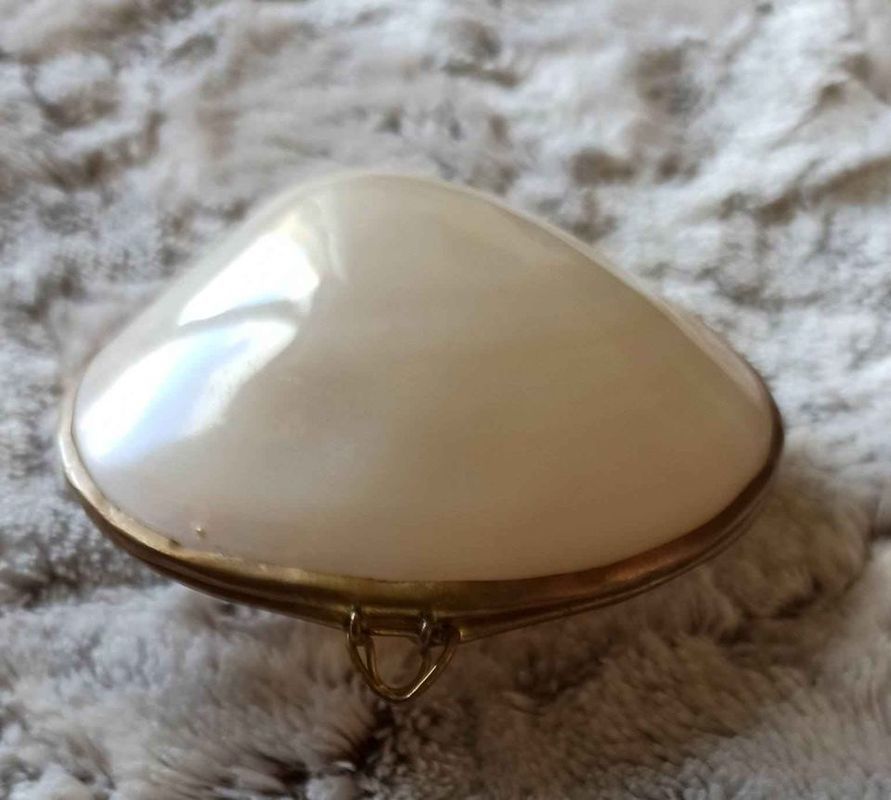 �crin en nacre et laiton en coquillage 79 Brou� (28)