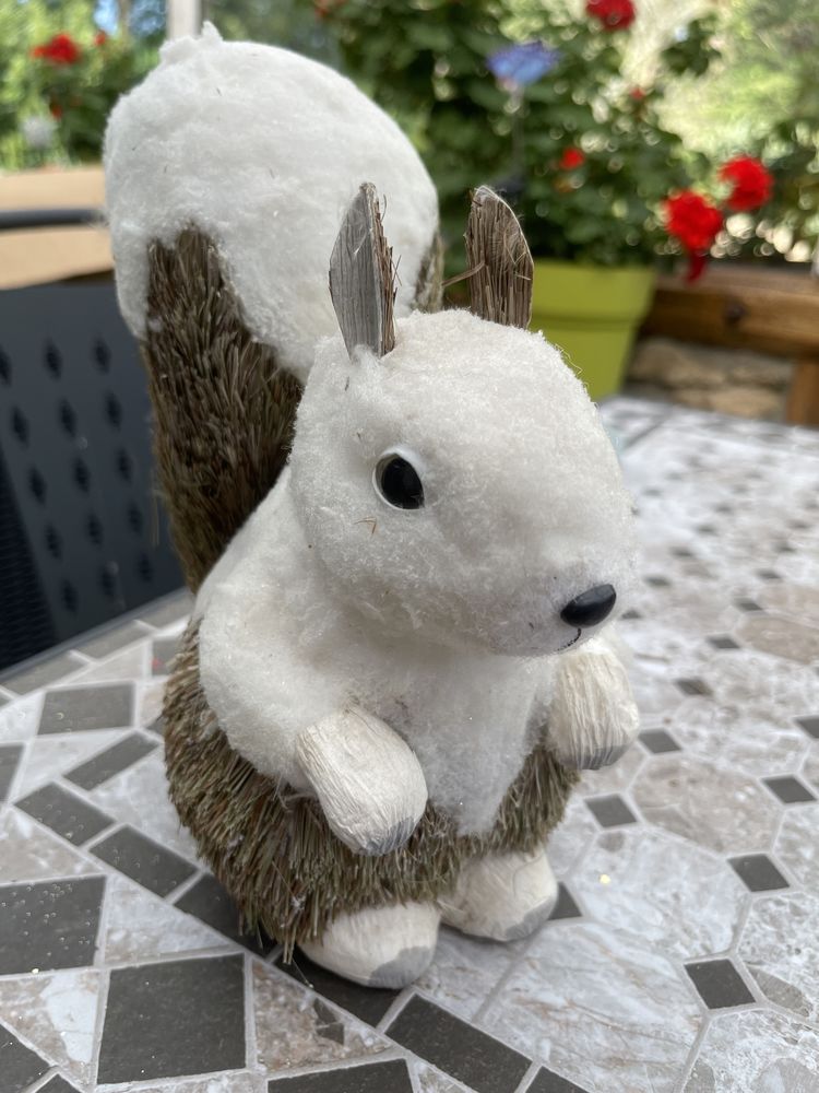 Ecureuil de No�l 19 Beaune-la-Rolande (45)