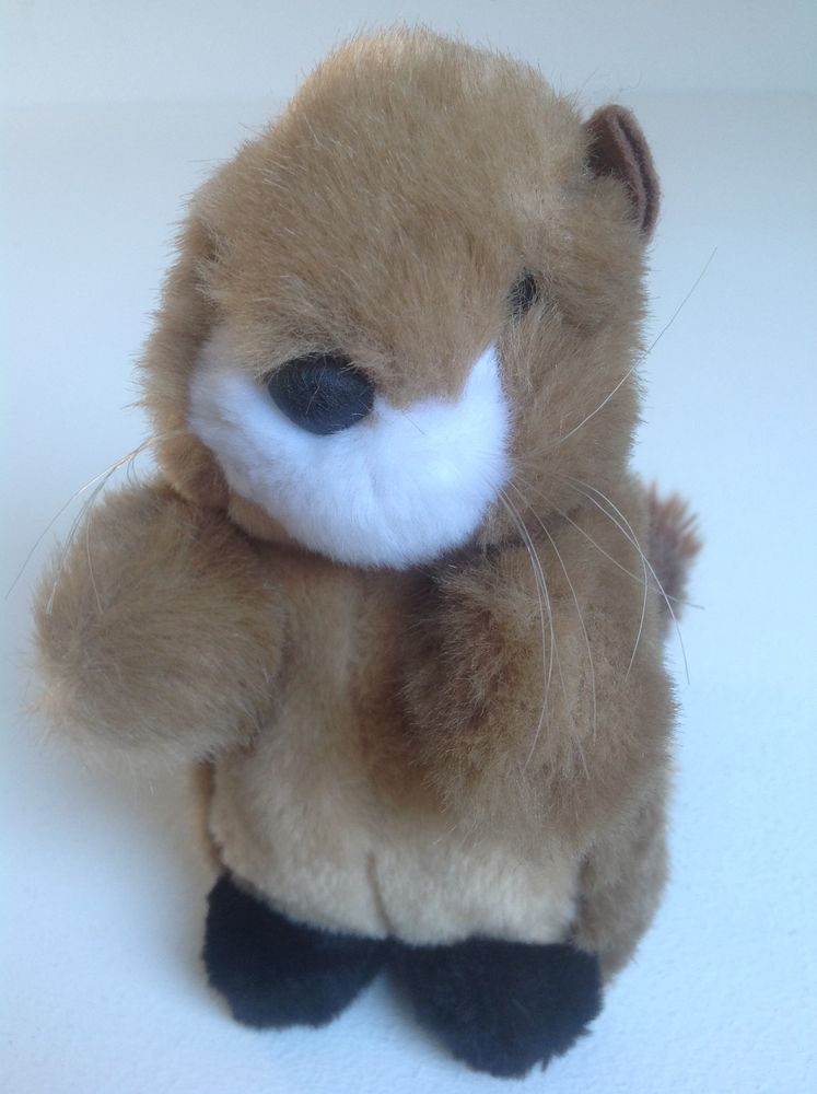 �CUREUIL EN PELUCHE Envoi Possible
5 Tr�gunc (29)