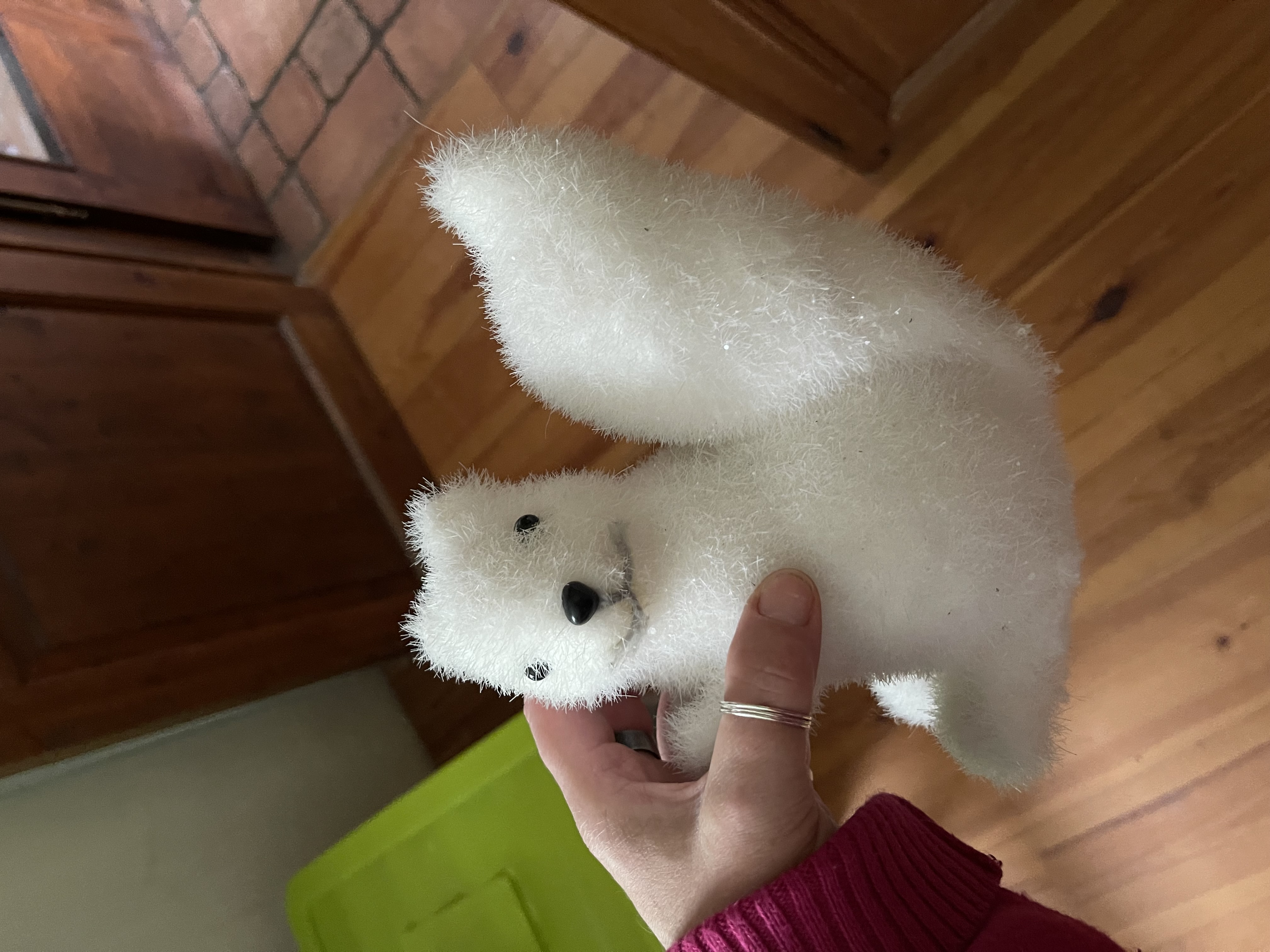 Ecureuil 14 Beaune-la-Rolande (45)