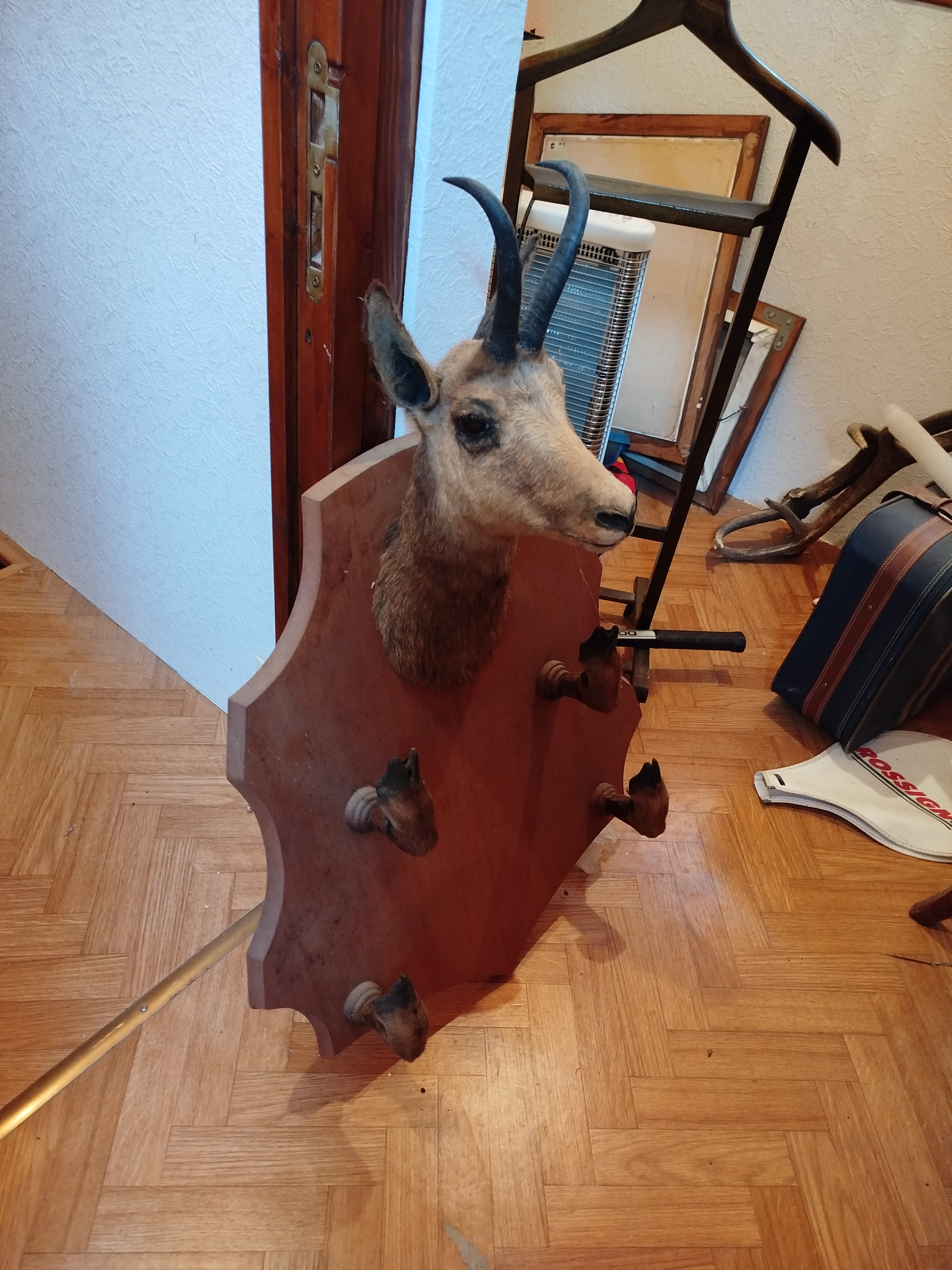 �cusson bois , nature morte 150 Grenoble (38)