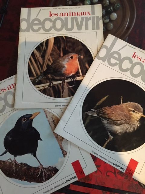 Edition Larousse Les Oiseaux 50 M�rignac (33)