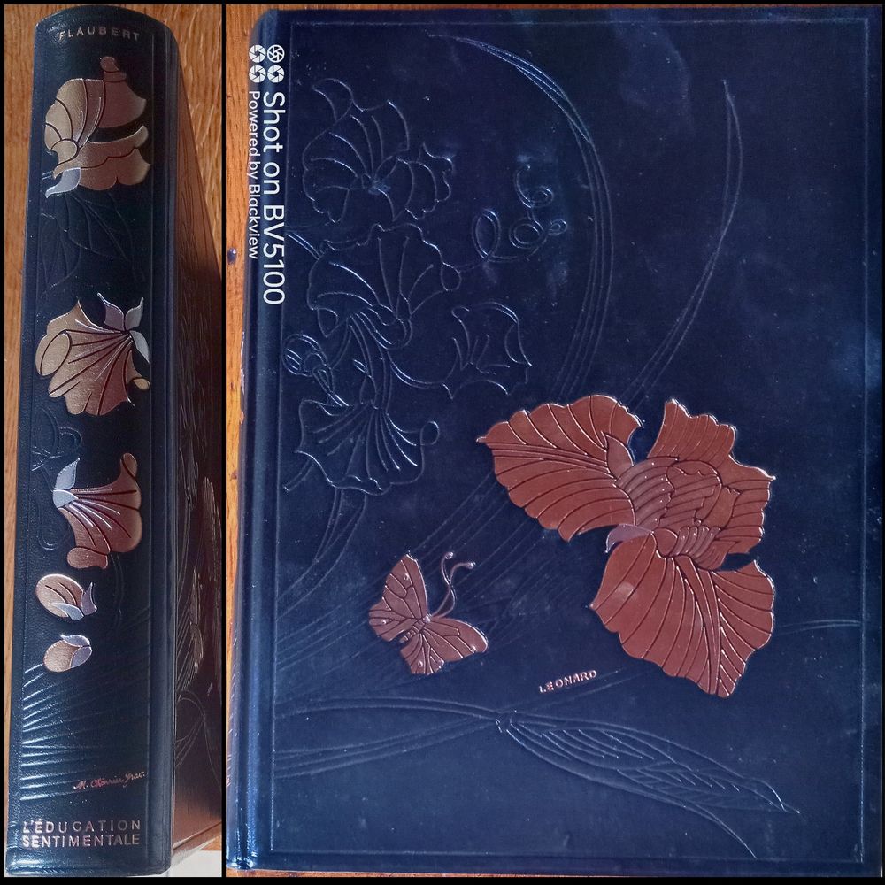 L'�ducation Sentimentale - FLAUBERT, �d. Jean de Bonnot 0 Compeyre (12)