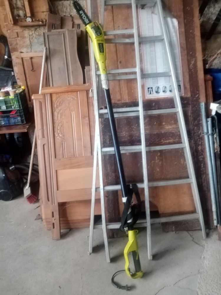 Elagueuse  stillh  �lectrique  rpp720 50 Saint-Just-en-Chevalet (42)