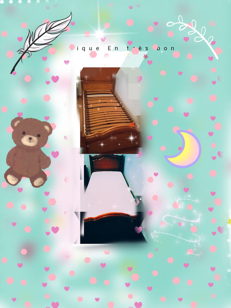 Lit �lectrique 1 personne en tr�s bon �tat 80 Lamballe (22)