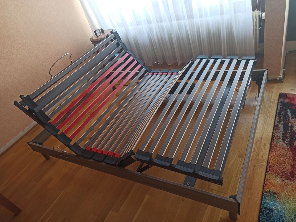Lit �lectrique 2 places et son matelas. 600 Saint-Etienne (42)