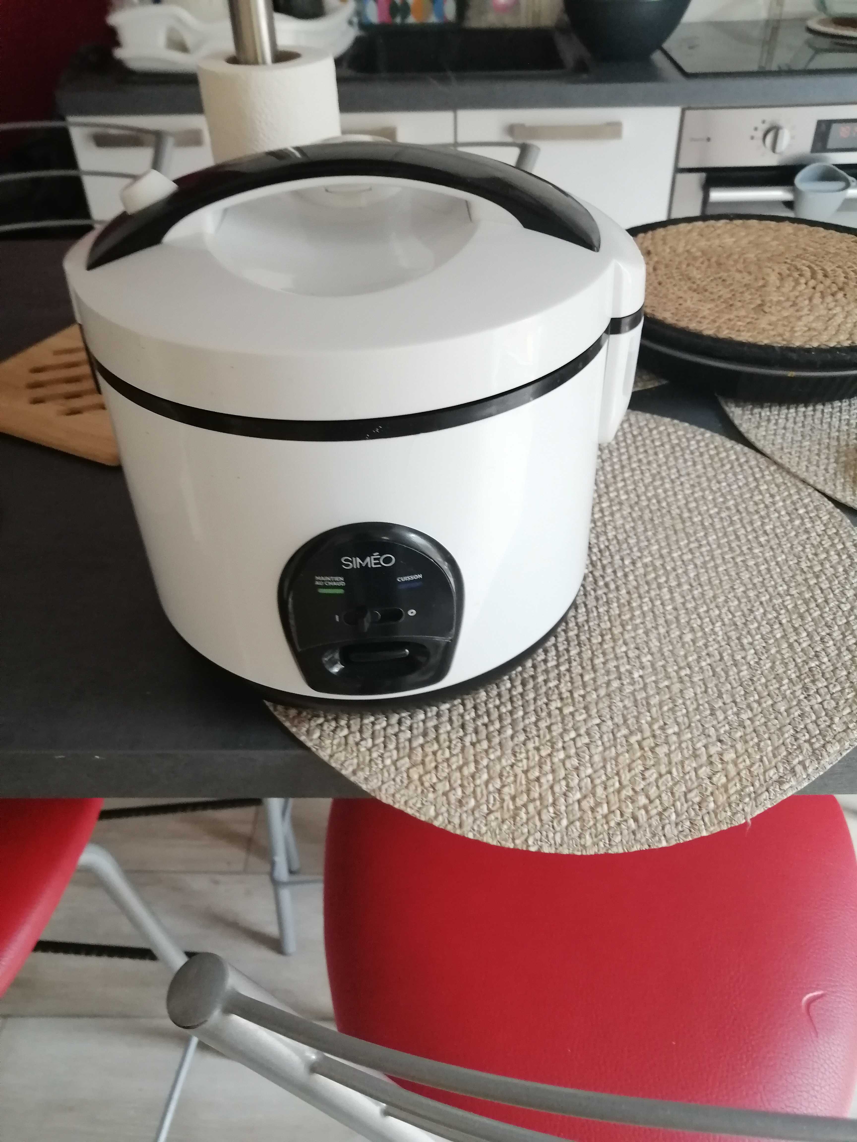 �lectrom�nagers 100 Le Mans (72)