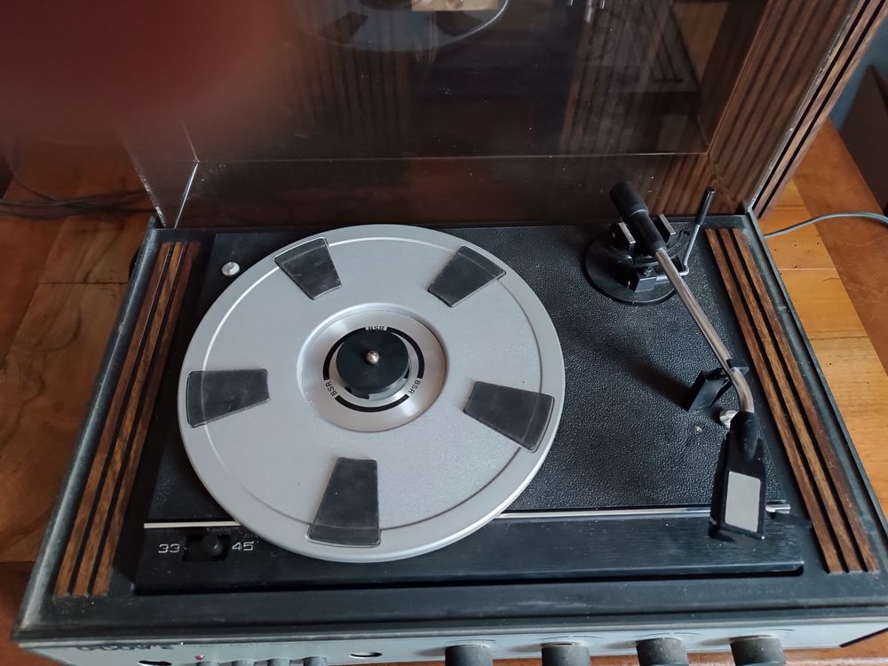 Electrophone 25 Bourgneuf (17)