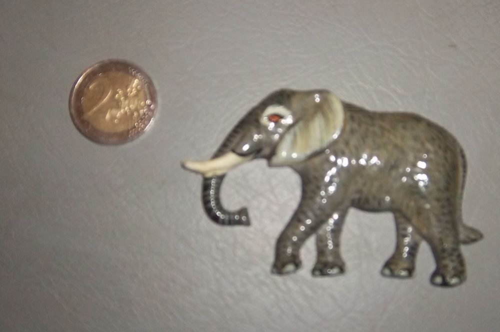 El�phant � coller 1 Colombier-Fontaine (25)