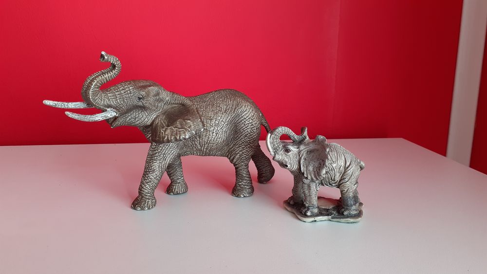 2 �l�phants 10 Roanne (42)