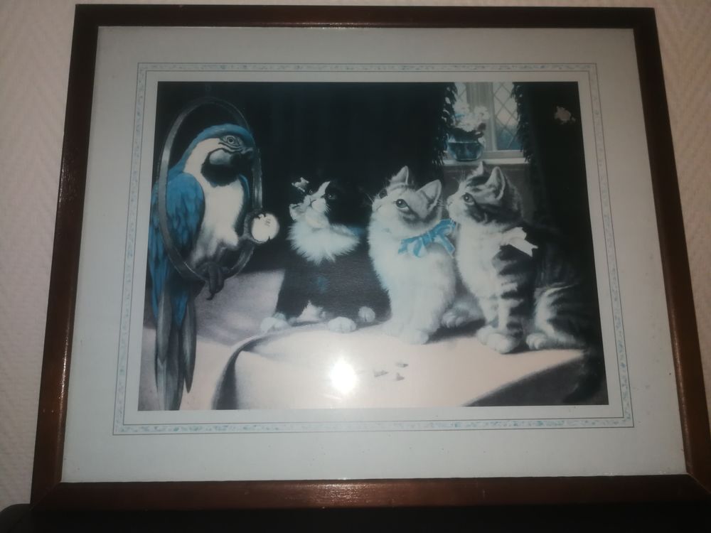 Bel encadrement vitr� 5 Le Creusot (71)