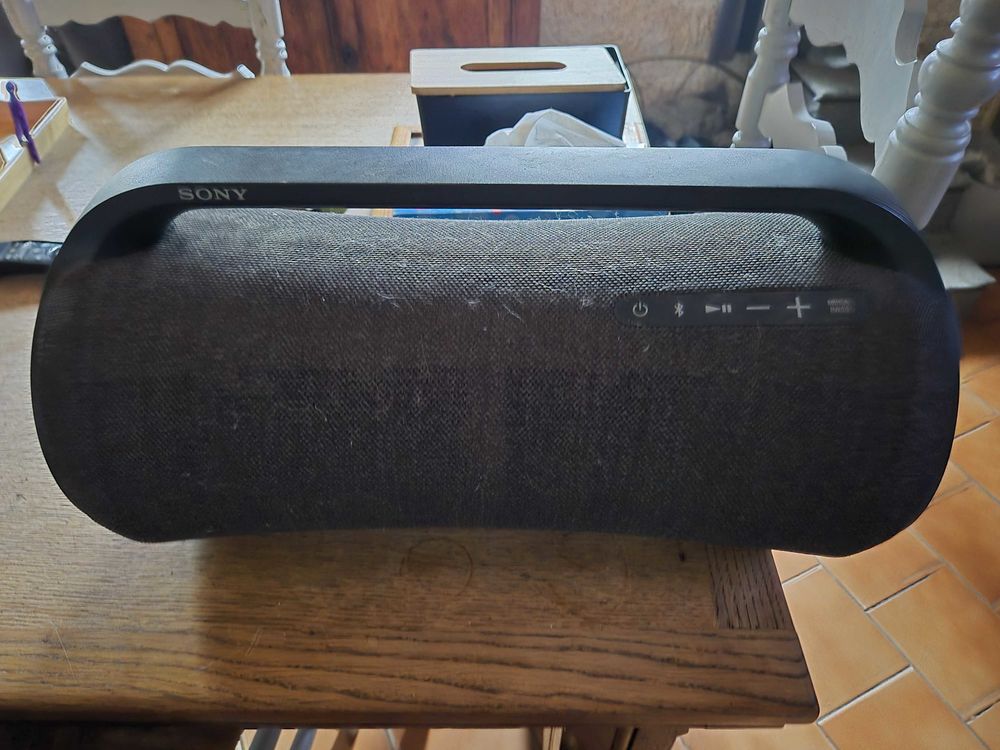 Enceinte portable Sony 250 Aydat (63)